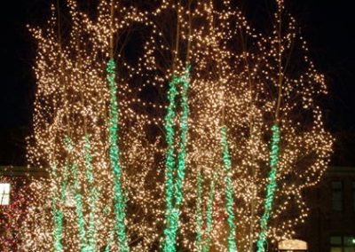 Christmas Lights 5