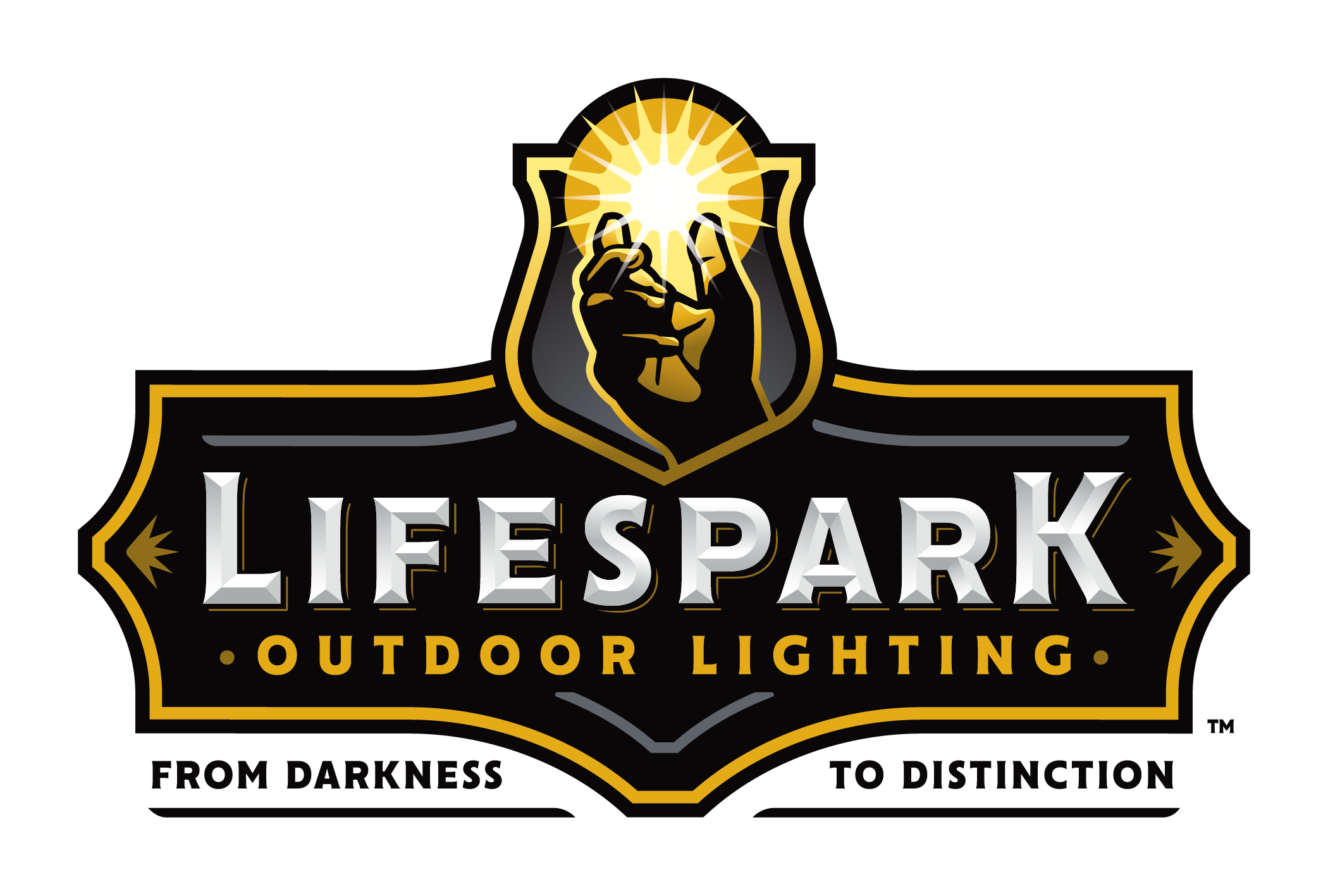 Lifespark Transparent Logo Color